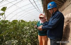 国网阿鲁科尔沁旗供电公司：不误农时不负春 电力服务助农户