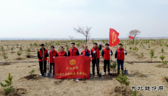 国网巴林右旗供电公司：春风执笔绘绿浪 铁锹为弦奏青章