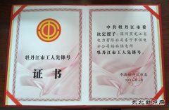 国网东宁市供电公司：荣获“牡丹江市工人先锋号”荣誉称号
