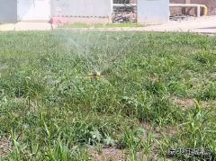牛儿庄采矿公司：废水巧利用环保又节能
