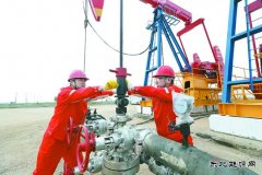 辽河冷家油田：稠油冷采 节能增产